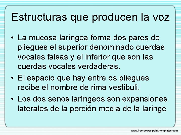 Estructuras que producen la voz • La mucosa laríngea forma dos pares de pliegues