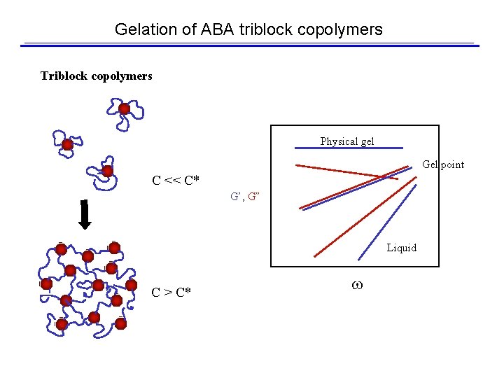 Gelation of ABA triblock copolymers Triblock copolymers Physical gel Gel point C << C*