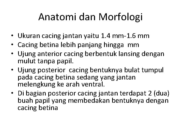 Anatomi dan Morfologi • Ukuran cacing jantan yaitu 1. 4 mm-1. 6 mm •