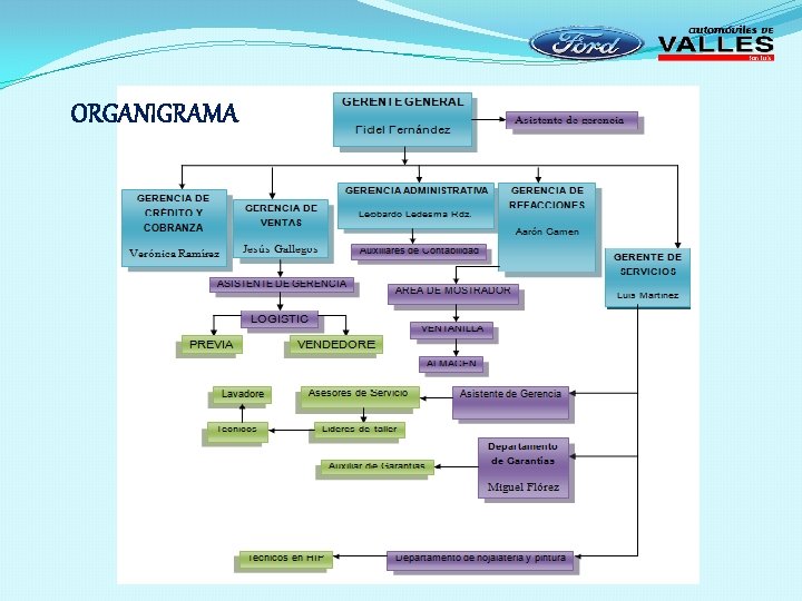 ORGANIGRAMA 