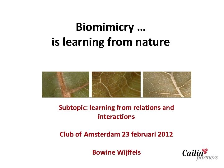 Biomimicry … is learning from nature Subtopic: learning from relations and interactions Club of