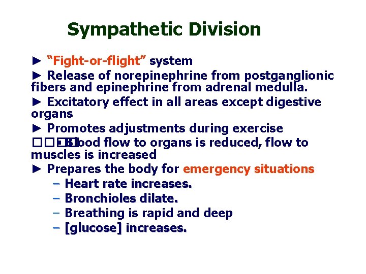 Sympathetic Division ► “Fight-or-flight” system ► Release of norepinephrine from postganglionic fibers and epinephrine