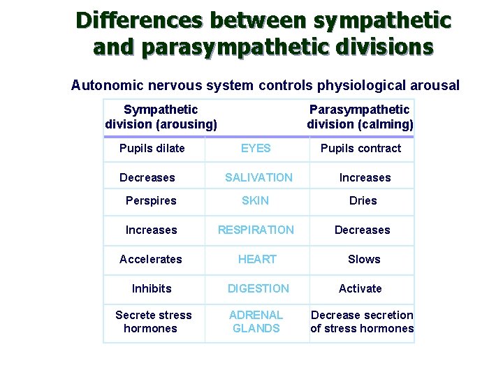 Differences between sympathetic and parasympathetic divisions Autonomic nervous system controls physiological arousal Sympathetic division