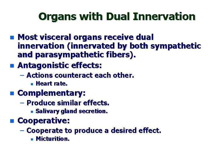 Organs with Dual Innervation n n Most visceral organs receive dual innervation (innervated by