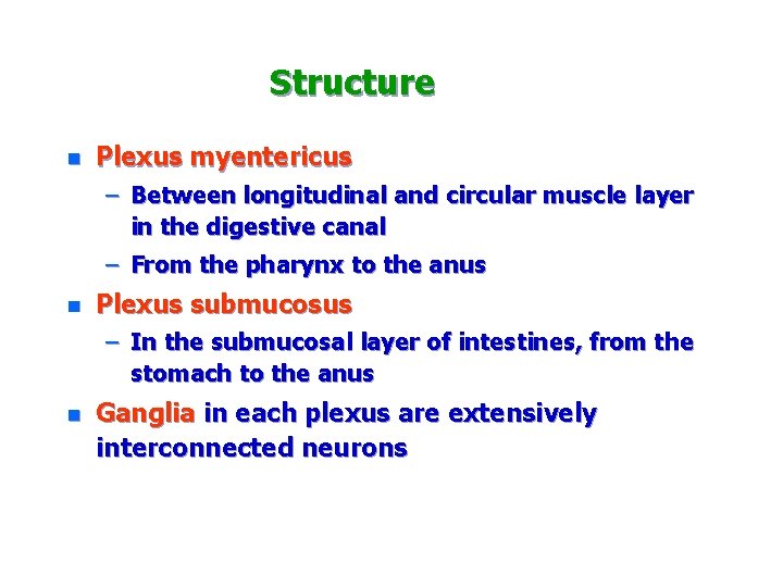 Structure n Plexus myentericus – Between longitudinal and circular muscle layer in the digestive