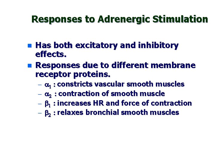 Responses to Adrenergic Stimulation n n Has both excitatory and inhibitory effects. Responses due