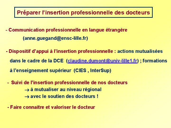 Préparer l’insertion professionnelle des docteurs - Communication professionnelle en langue étrangère (anne. guegand@ensc-lille. fr)