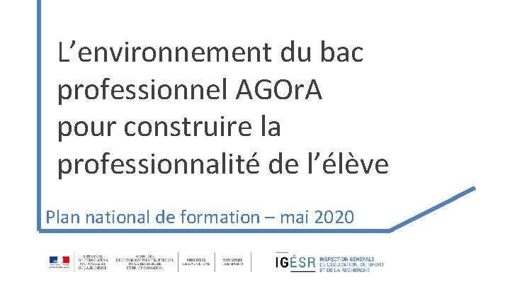 L’environnement du bac professionnel AGOr. A pour construire la professionnalité de l’élève Plan national