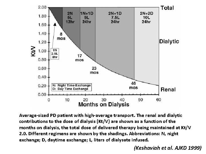 Average-sized PD patient with high-average transport. The renal and dialytic contributions to the dose