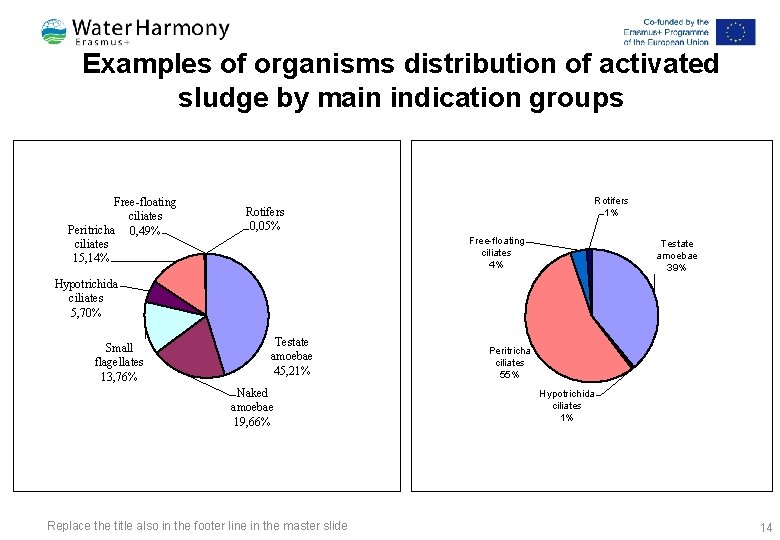 Examples of organisms distribution of activated sludge by main indication groups Free-floating ciliates Peritricha Examples of organisms distribution of activated sludge by main indication groups Free-floating ciliates Peritricha