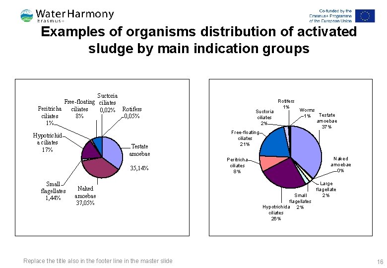 Examples of organisms distribution of activated sludge by main indication groups Suctoria Free-floating ciliates Examples of organisms distribution of activated sludge by main indication groups Suctoria Free-floating ciliates