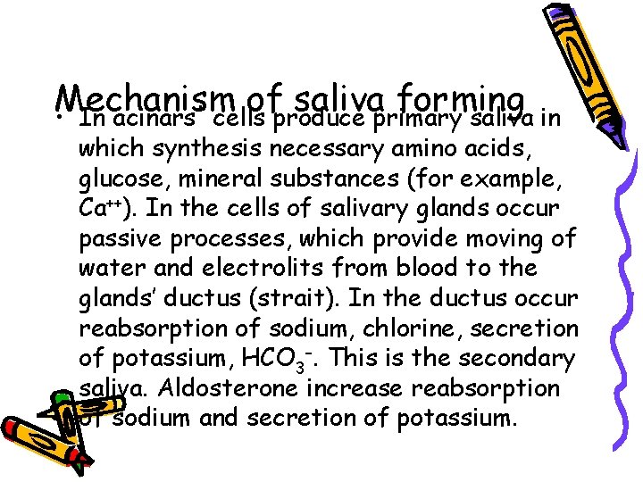 Mechanism of saliva forming • In acinars' cells produce primary saliva in which synthesis