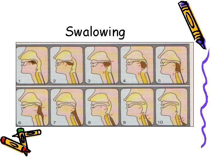 Swalowing 