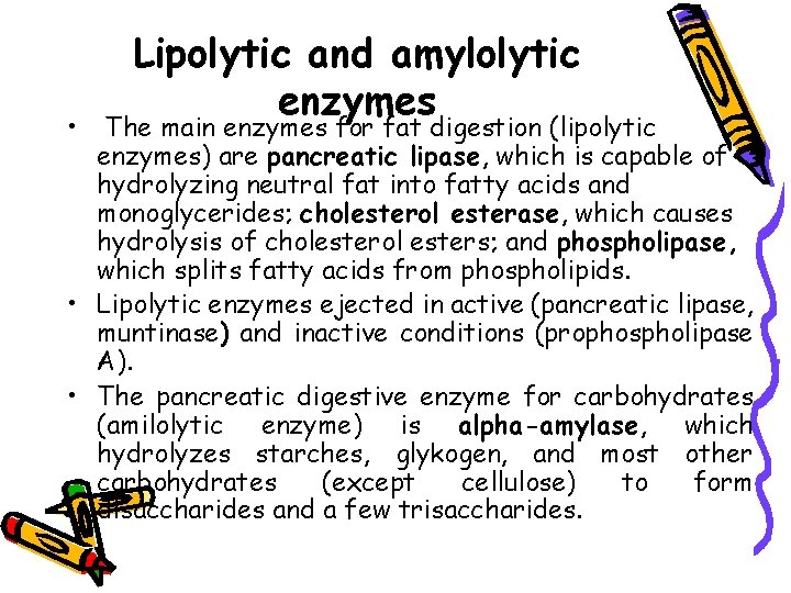 Lipolytic and amylolytic enzymes • The main enzymes for fat digestion (lipolytic enzymes) are