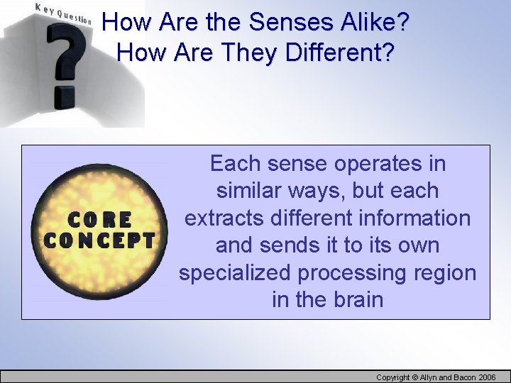 How Are the Senses Alike? How Are They Different? Each sense operates in similar