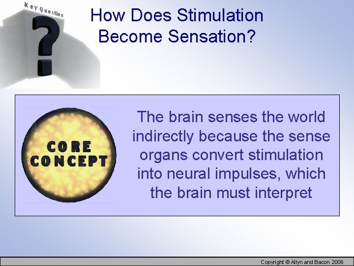 How Does Stimulation Become Sensation? The brain senses the world indirectly because the sense