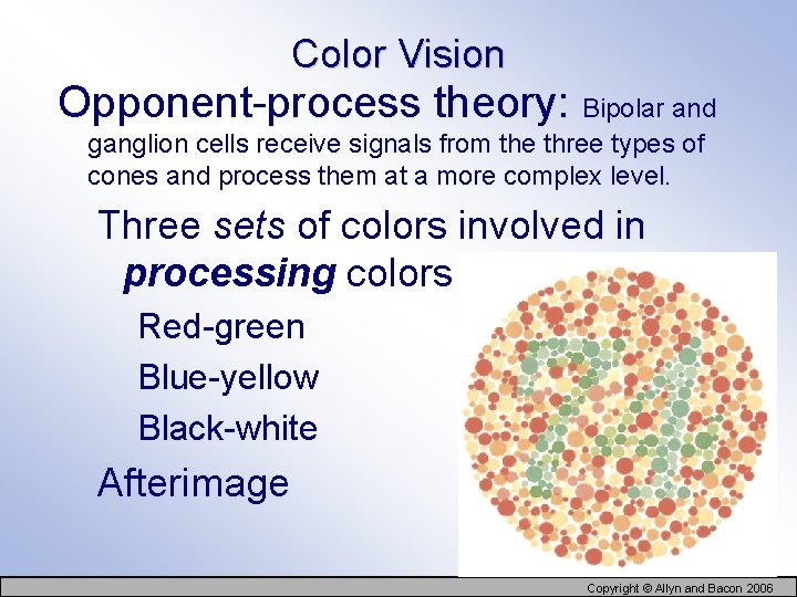 Color Vision Opponent-process theory: Bipolar and ganglion cells receive signals from the three types