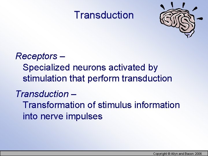 Transduction Receptors – Specialized neurons activated by stimulation that perform transduction Transduction – Transformation