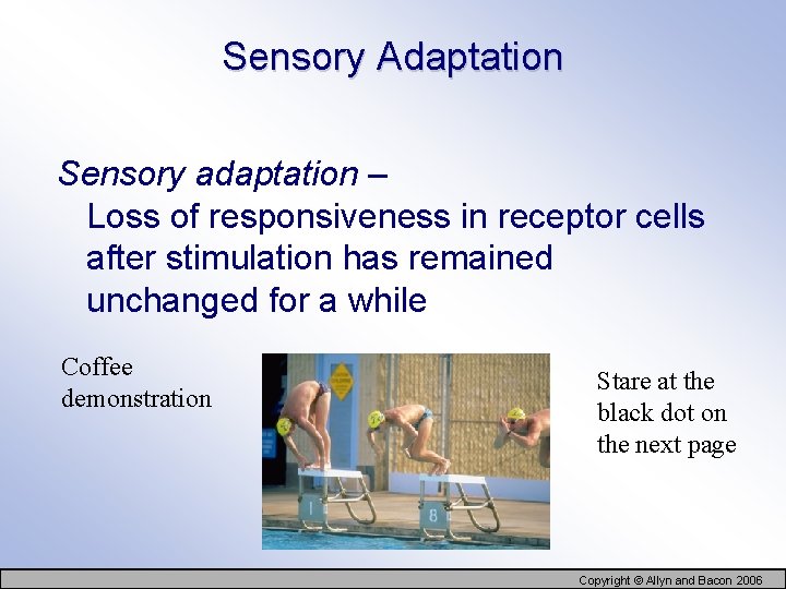 Sensory Adaptation Sensory adaptation – Loss of responsiveness in receptor cells after stimulation has