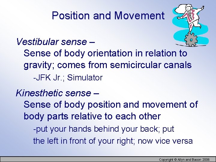 Position and Movement Vestibular sense – Sense of body orientation in relation to gravity;