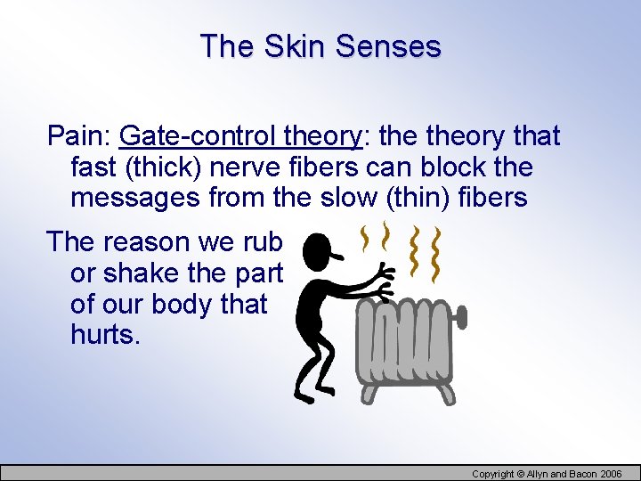 The Skin Senses Pain: Gate-control theory: theory that fast (thick) nerve fibers can block