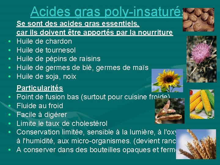 Acides gras poly-insaturés • • • Se sont des acides gras essentiels, car ils