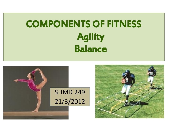COMPONENTS OF FITNESS Agility Balance SHMD 249 21/3/2012 