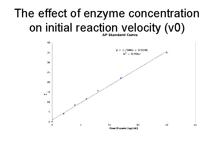 The effect of enzyme concentration on initial reaction velocity (v 0) 