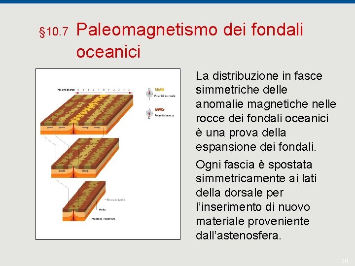 § 10. 7 Paleomagnetismo dei fondali oceanici La distribuzione in fasce simmetriche delle anomalie