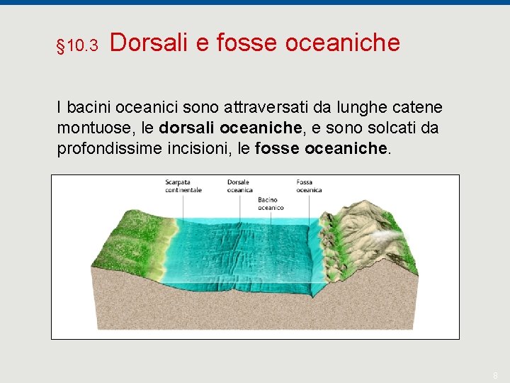 § 10. 3 Dorsali e fosse oceaniche I bacini oceanici sono attraversati da lunghe