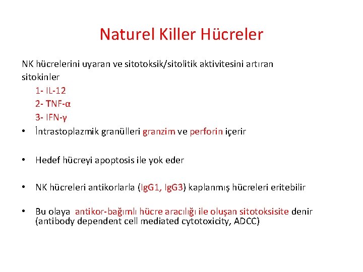Naturel Killer Hücreler NK hücrelerini uyaran ve sitotoksik/sitolitik aktivitesini artıran sitokinler 1 - IL-12 Naturel Killer Hücreler NK hücrelerini uyaran ve sitotoksik/sitolitik aktivitesini artıran sitokinler 1 - IL-12
