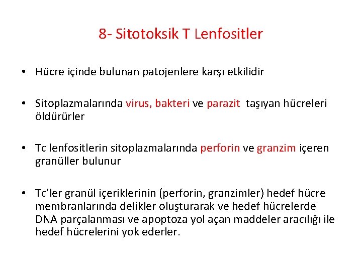 8 - Sitotoksik T Lenfositler • Hücre içinde bulunan patojenlere karşı etkilidir • Sitoplazmalarında 8 - Sitotoksik T Lenfositler • Hücre içinde bulunan patojenlere karşı etkilidir • Sitoplazmalarında