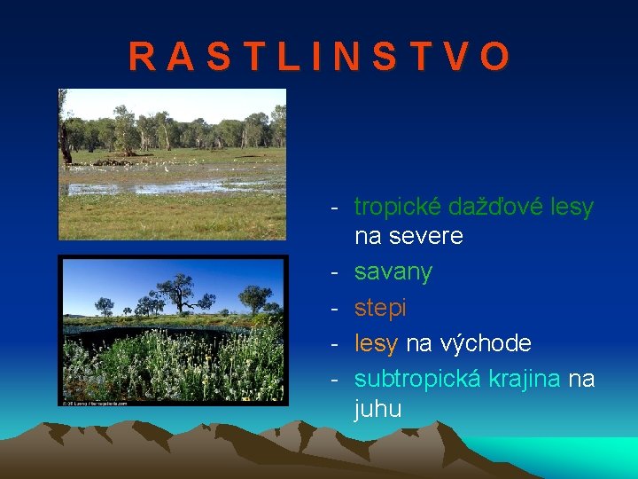 RASTLINSTVO - tropické dažďové lesy na severe - savany - stepi - lesy na