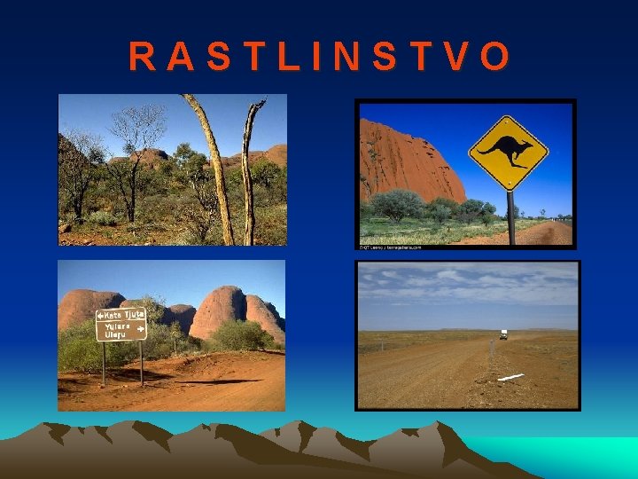 RASTLINSTVO 