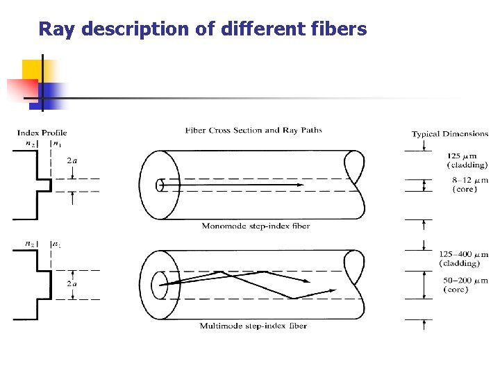 Ray description of different fibers Ray description of different fibers