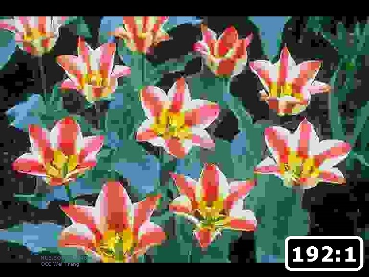 Original Image (1153 KB) NUS. SOC. CS 5248 OOI Wei Tsang 192: 1 