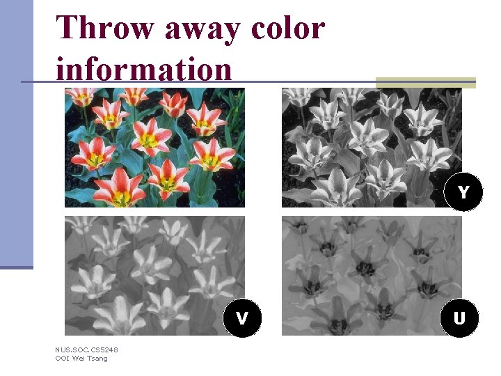 Throw away color information Y V NUS. SOC. CS 5248 OOI Wei Tsang U