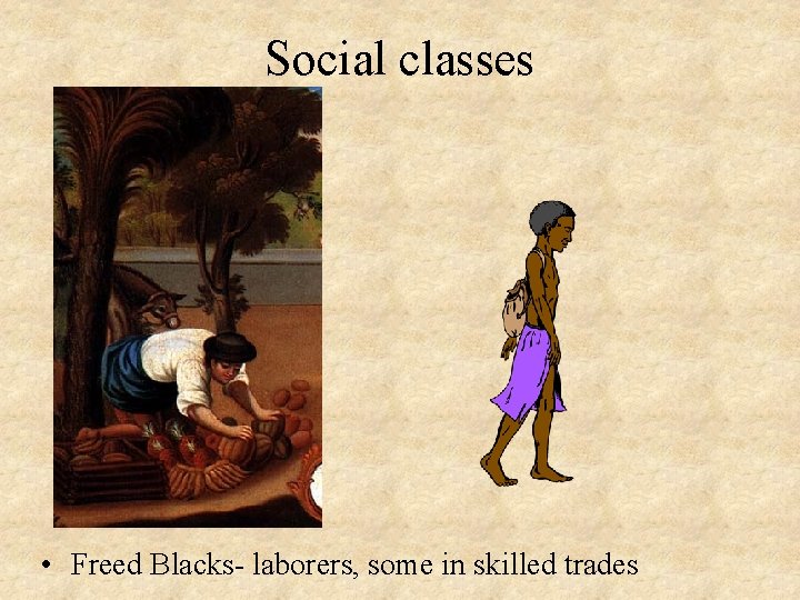 Social classes • Freed Blacks- laborers, some in skilled trades 