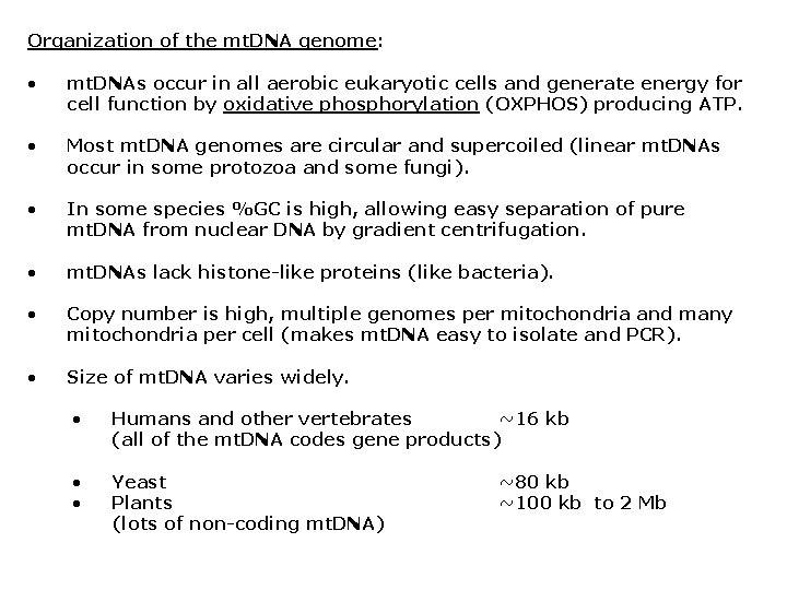 Organization of the mt. DNA genome: • mt. DNAs occur in all aerobic eukaryotic