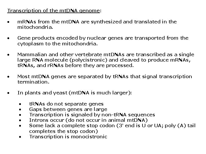 Transcription of the mt. DNA genome: • m. RNAs from the mt. DNA are