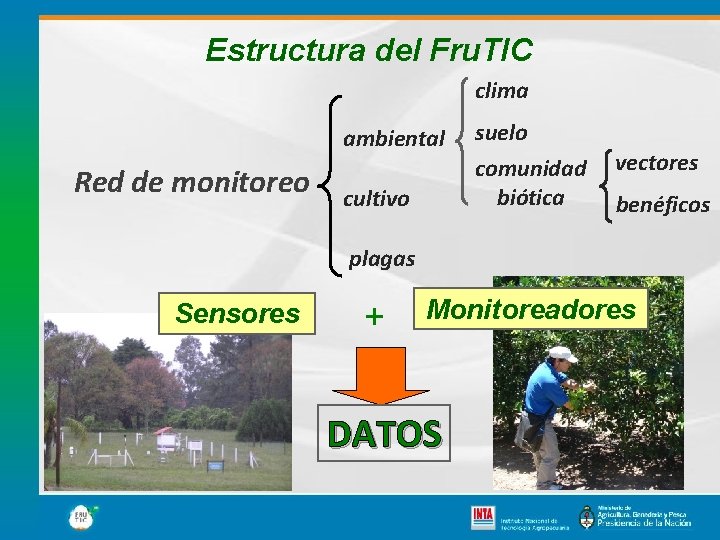 Estructura del Fru. TIC clima Red de monitoreo ambiental suelo cultivo comunidad biótica vectores