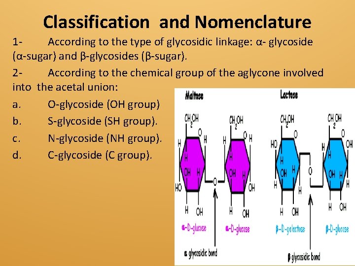 Classification and Nomenclature 1 According to the type of glycosidic linkage: α- glycoside (α-sugar)