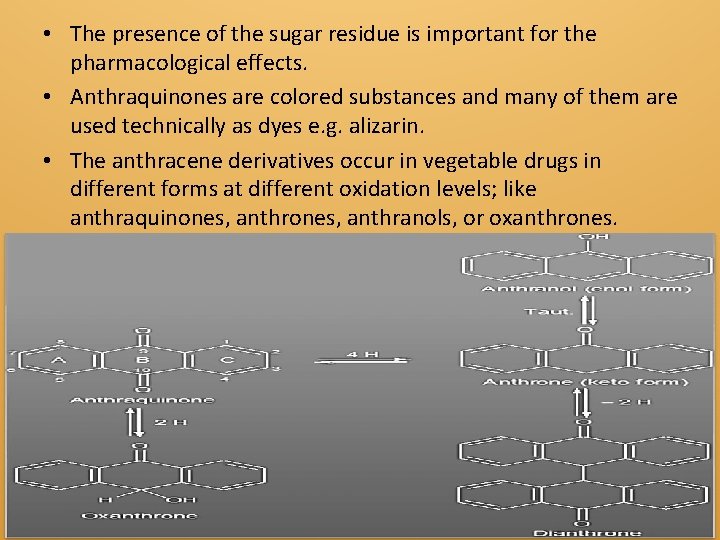  • The presence of the sugar residue is important for the pharmacological effects.