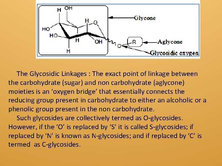 The Glycosidic Linkages : The exact point of linkage between the carbohydrate (sugar) and