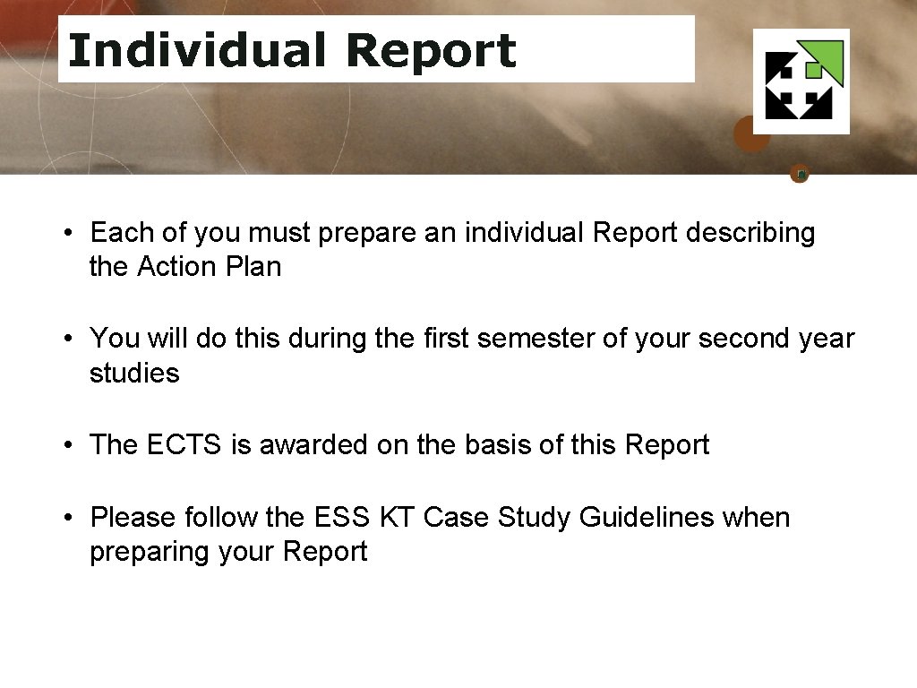 Individual Report • Each of you must prepare an individual Report describing the Action