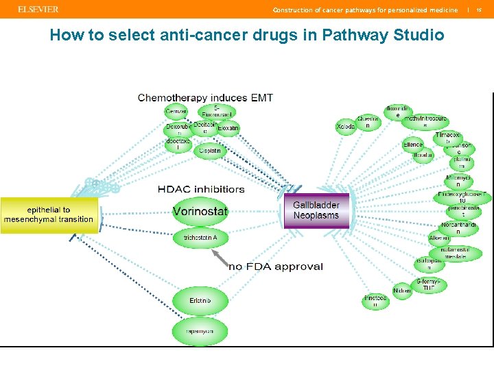 Construction of cancer pathways for personalized medicine How to select anti-cancer drugs in Pathway