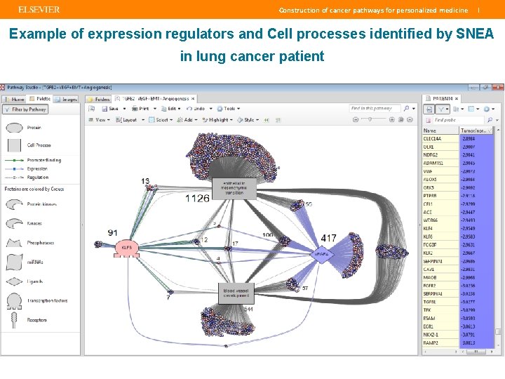 Construction of cancer pathways for personalized medicine | Example of expression regulators and Cell