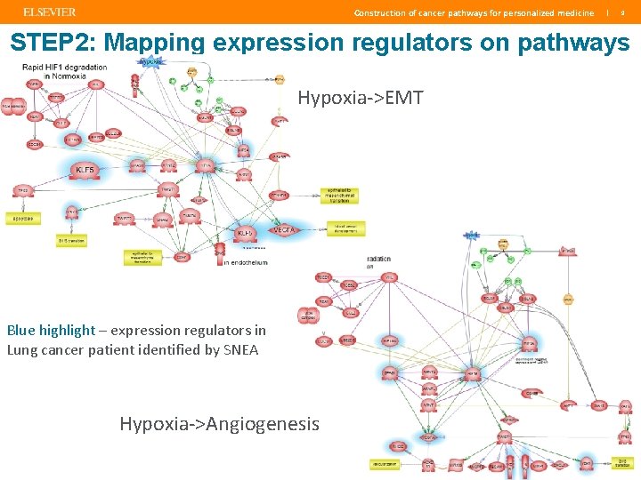 Construction of cancer pathways for personalized medicine | 9 STEP 2: Mapping expression regulators