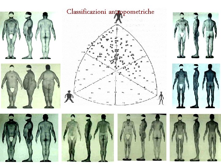 Classificazioni antropometriche 