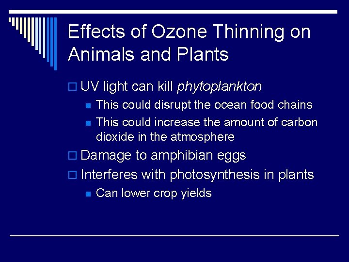 Effects of Ozone Thinning on Animals and Plants o UV light can kill phytoplankton
